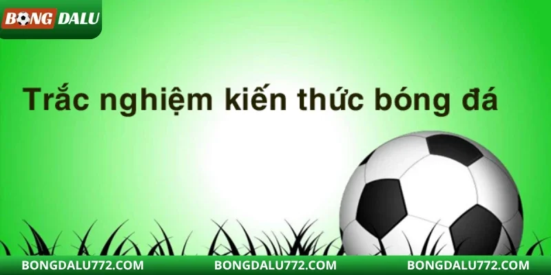 Biểu tượng của FIFA và các liên đoàn khu vực trong hệ thống bóng đá thế giới.