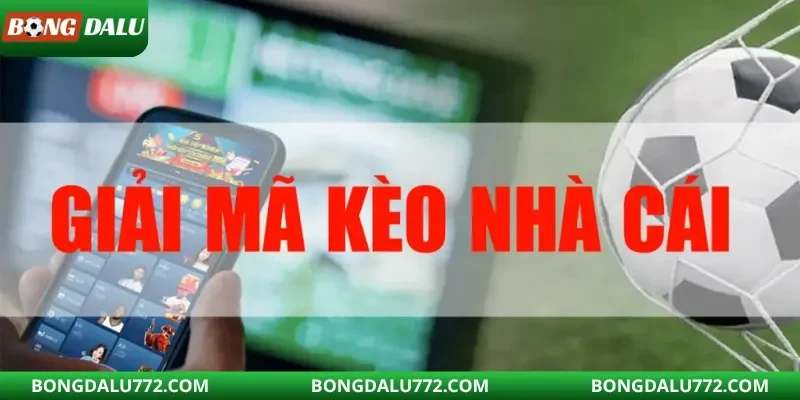 Các bước đọc bảng tỷ lệ kèo nhà cái