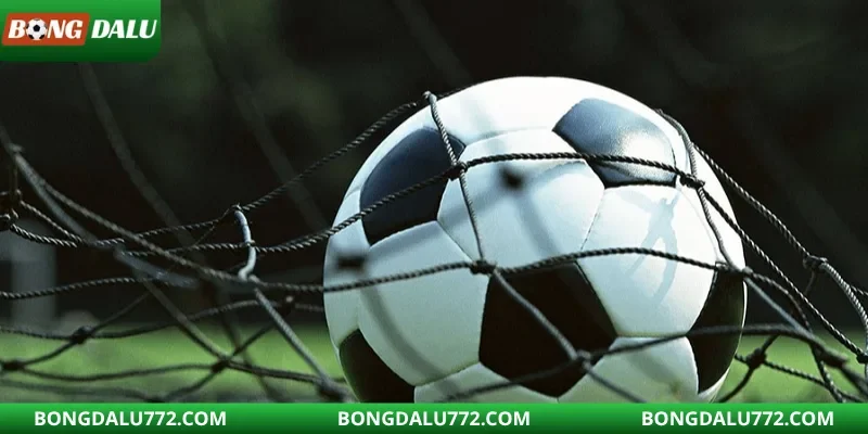 Các Loại Bẫy Thường Gặp