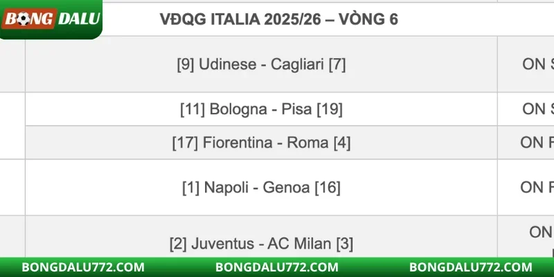 Cổ động viên reo hò cuồng nhiệt trên khán đài