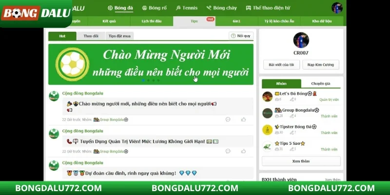 Giới thiệu tổng quan về bongdalu