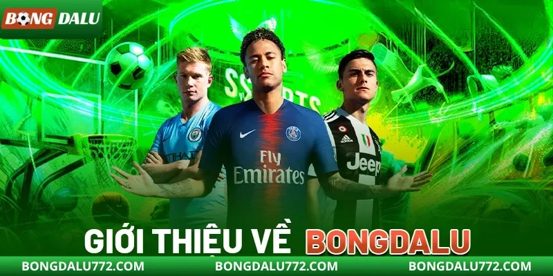 Giới thiệu vài nét cơ bản về nhà cái bongdalu