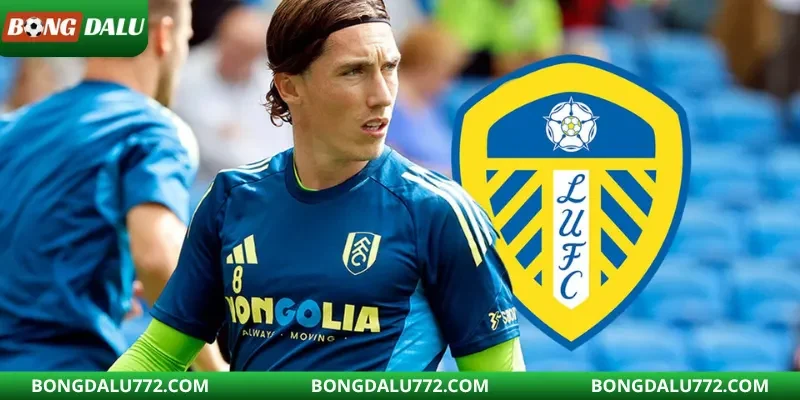 Leeds suýt chiêu mộ Harry Wilson