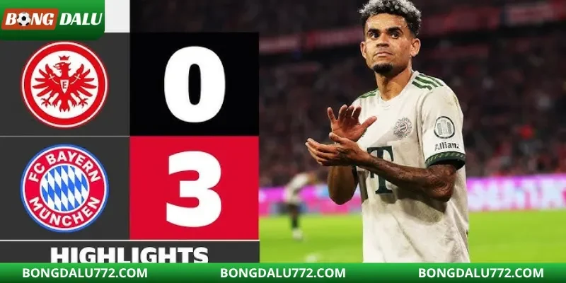 Những ứng viên vô địch hàng đầu