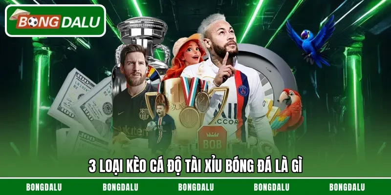 3 loại kèo cá độ tài xỉu bóng đá là gì