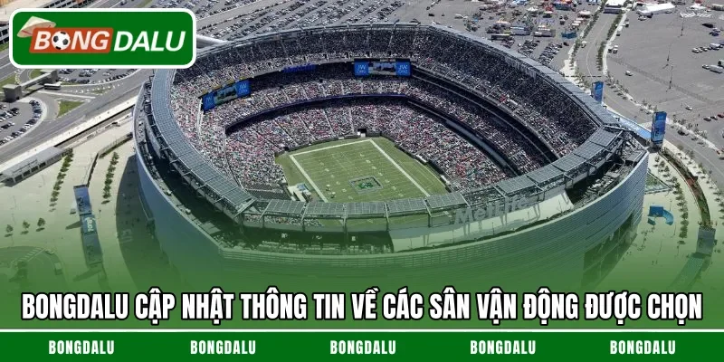 Bongdalu cập nhật thông tin về các sân vận động được chọn