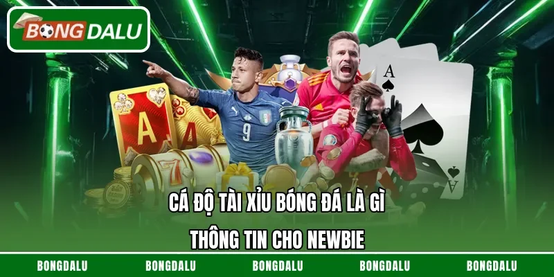 Cá Độ Tài Xỉu Bóng Đá Là Gì – Thông Tin Cho Newbie
