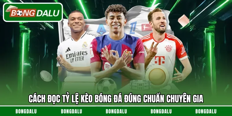 Cách đọc tỷ lệ kèo bóng đá đúng chuẩn chuyên gia 