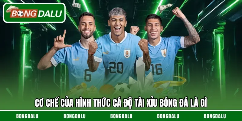 Cơ chế của hình thức cá độ tài xỉu bóng đá là gì