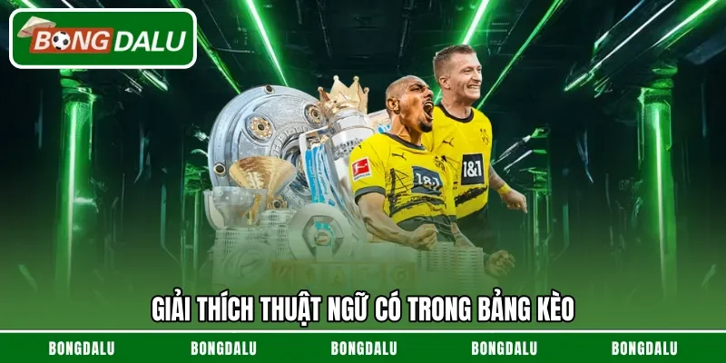 Giải thích thuật ngữ có trong bảng kèo