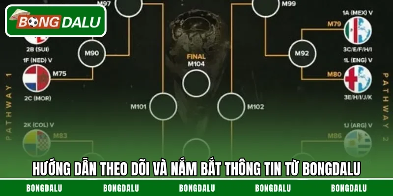 Hướng dẫn theo dõi và nắm bắt thông tin từ Bongdalu