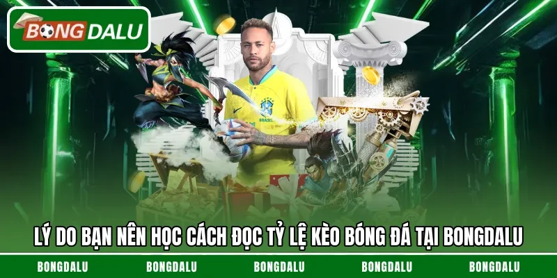 Lý do bạn nên học cách đọc tỷ lệ kèo bóng đá tại Bongdalu