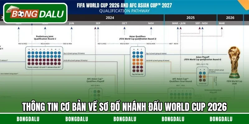 Thông tin cơ bản về sơ đồ nhánh đấu World Cup 2026
