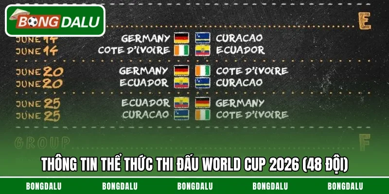 Thông tin thể thức thi đấu World Cup 2026 (48 đội)
